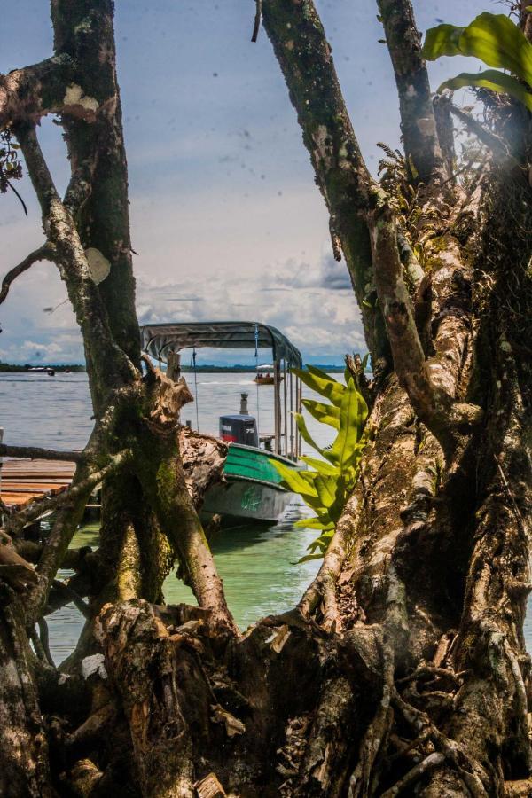 Dona Mara Gastro Hotel Bocas del Toro Esterno foto